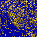 Example of gene structure in UVA's Gene Structure and Expression lab.