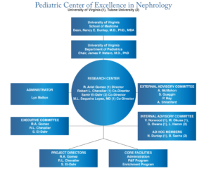 Diagram of Project Administration