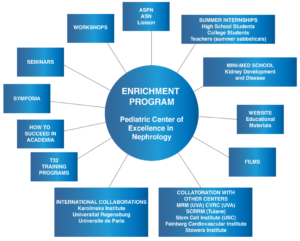 Diagram of Enrichment Program participants and modules