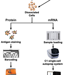 Diagram of UVA PCEN Research Projects 1, 2, 3 and 4 Pilot Projects